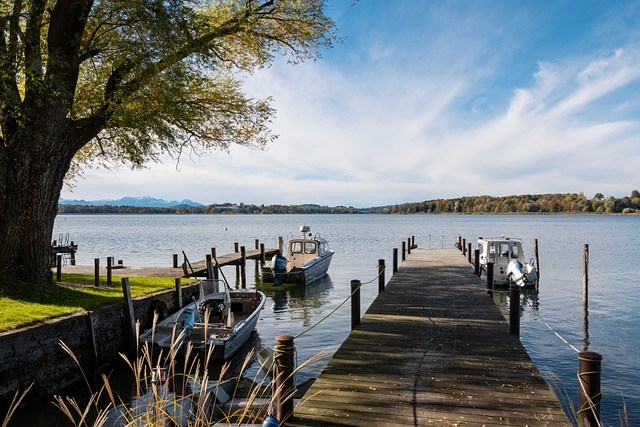 这些比赛不 这些比赛不