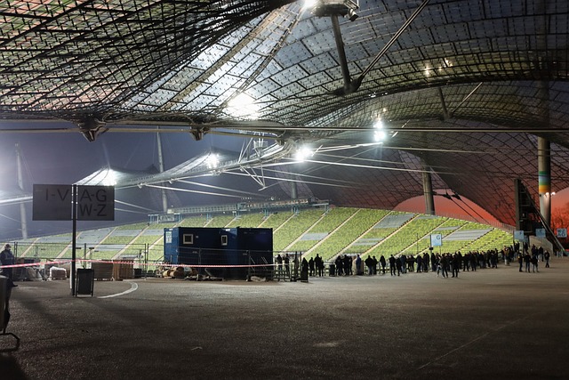 他们凭借高 他们凭借高