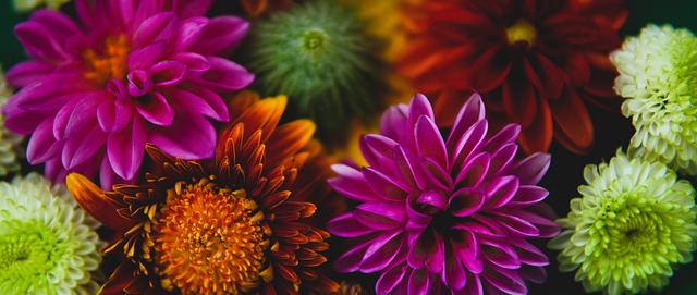 场地要求不 场地要求不